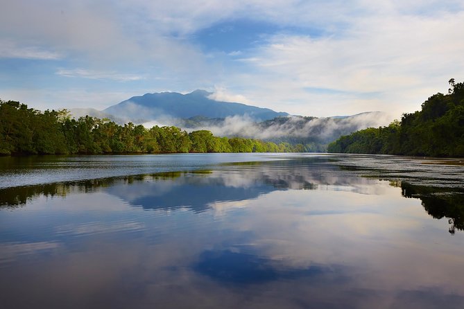 Daintree River Dawn Cruise With the Daintree Boatman - Essential Tour Information