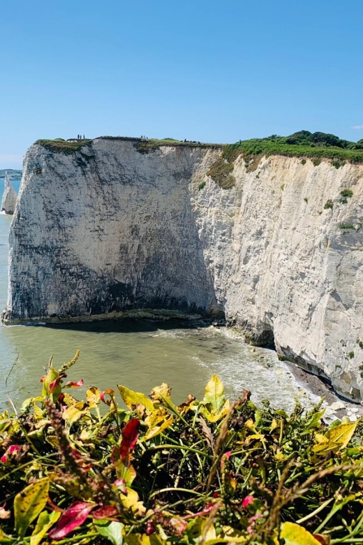 Dorset : Old Harry Rocks and Corfé Castle Guided E-bike Tour - Tour Itinerary