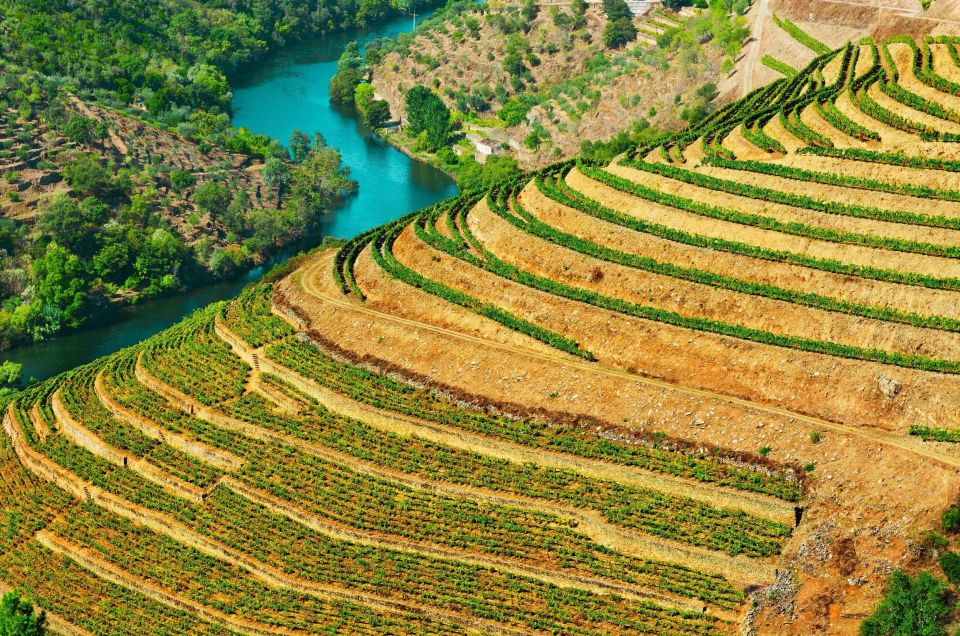 Douro Valley Full-Day Tour With Wine Tasting & Lunch - Inclusions