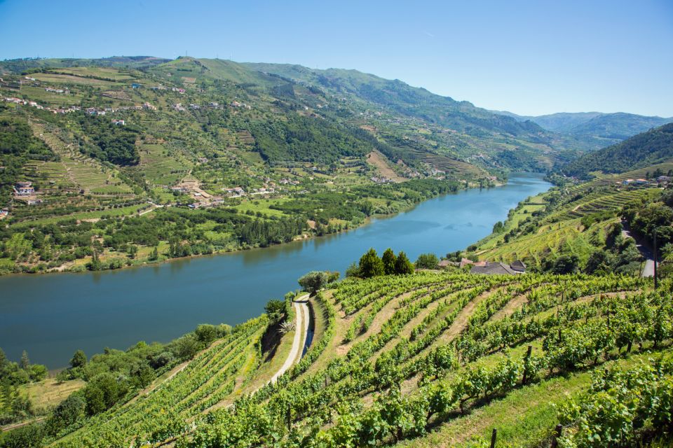 Douro Valley Wine Tasting From Porto - Additional Information