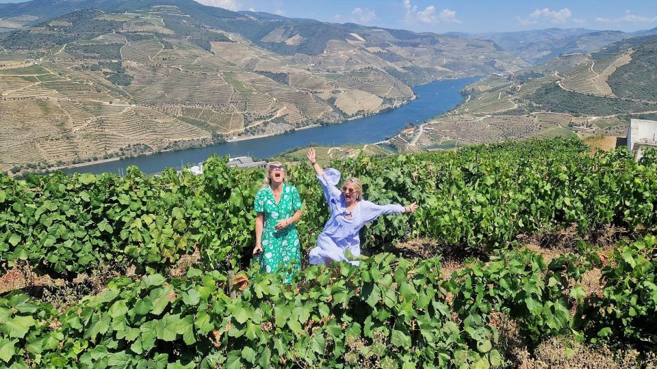 Douro Valley:Expert Wine Guide,Boat, Wine, Olive Oil & Lunch - Customer Reviews and Satisfaction