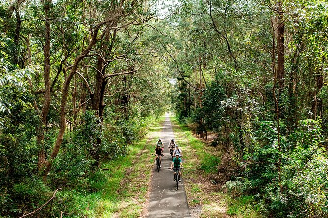 E Bike Hire - Northern Rivers Rail Trail - Self Guided Tour - Important Safety Considerations