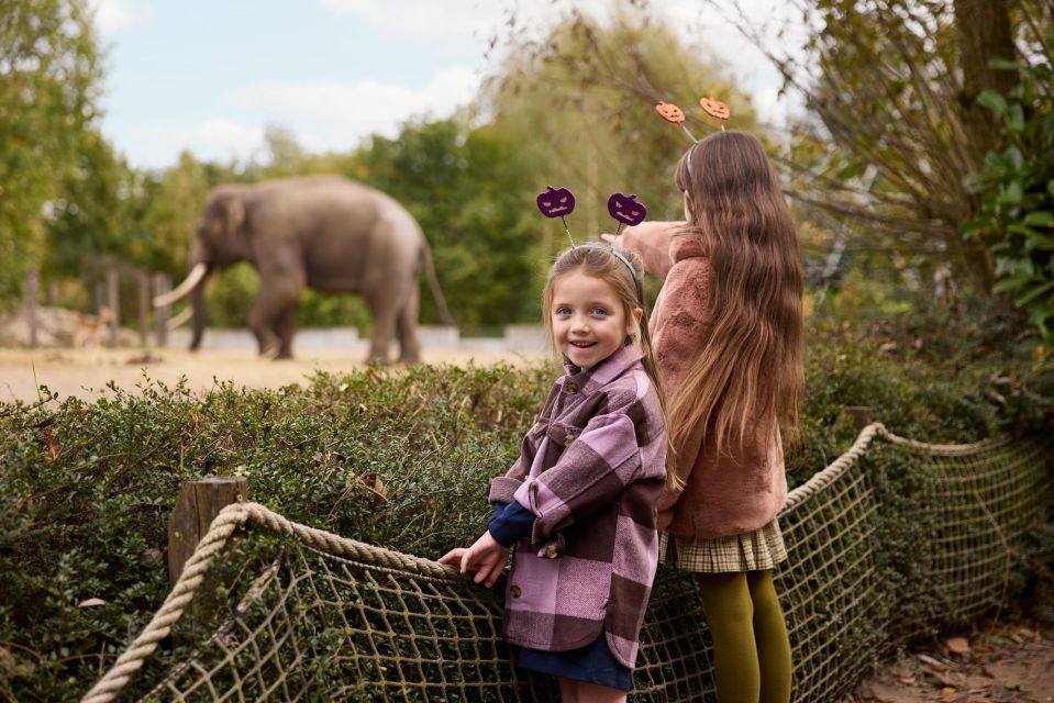 Eindhoven: Dierenrijk Zoo Entry Ticket - Reservation Options