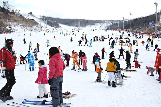 Enjoy Busan Winter at Eden Valley Resort One Day Tour - Reviews and Ratings From Travelers