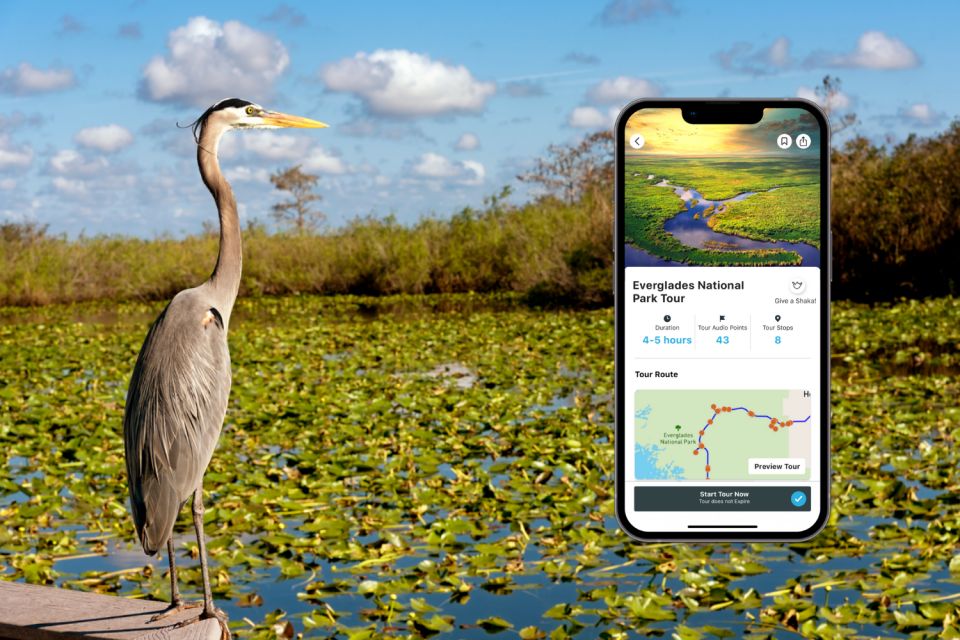 Everglades National Park: Audio Tour Guide - Meeting Point and Booking