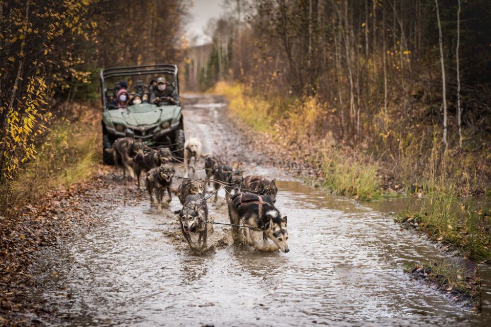 Fairbanks: Fall Cart Adventure Pulled by a Sled Dog - Additional Information