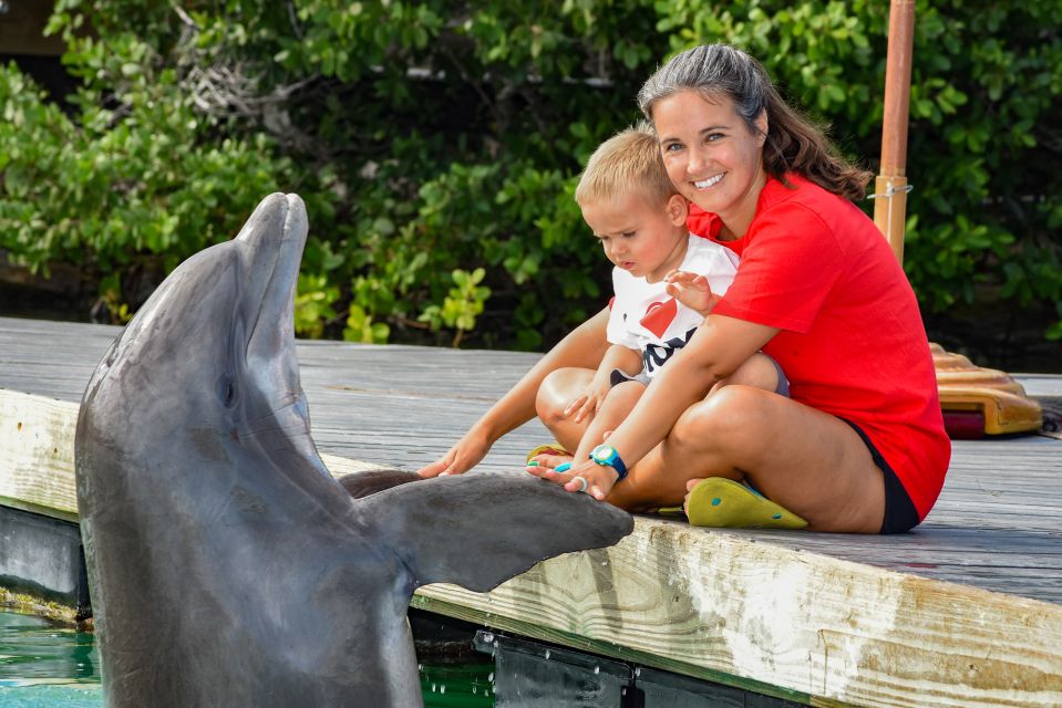 Florida Keys: Dockside Dolphin Experience - Customer Reviews