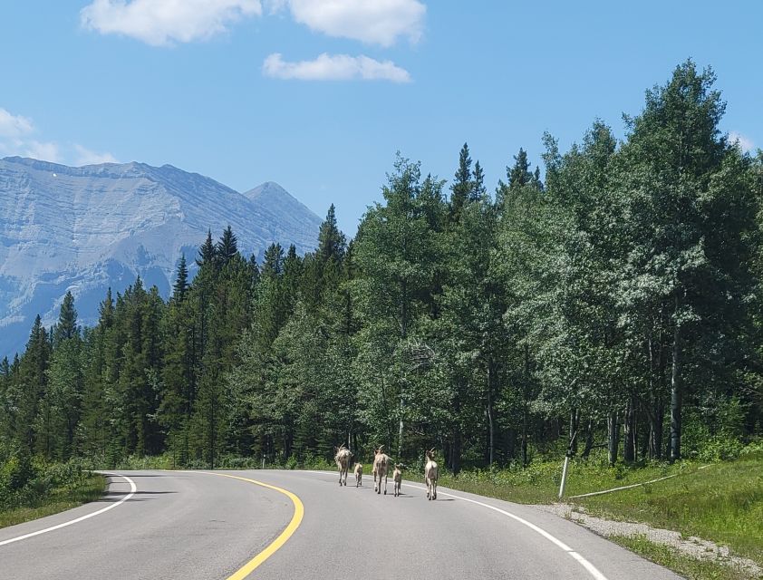 From Calgary: High Spirits Adventure in a Sidecar Motorcycle - Directions