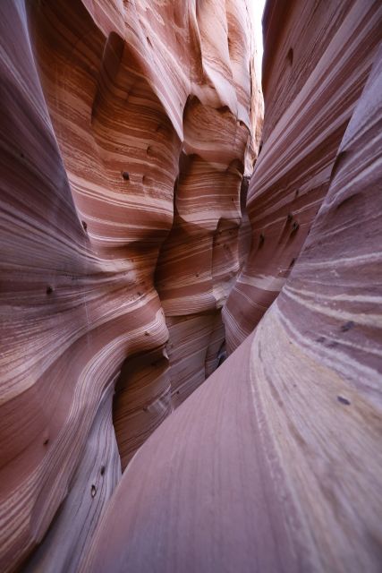 From Escalante: Zebra Slot Canyon Guided Tour and Hike - Common questions