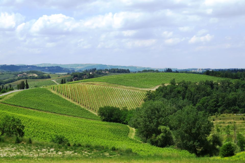 From Florence: Private Wine Tour With Dinner on an Estate - Booking Information