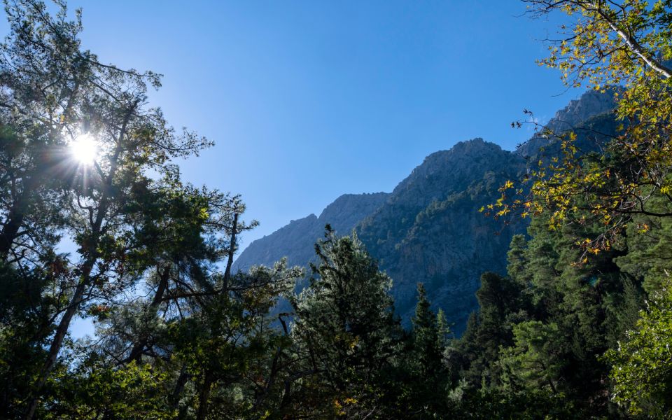 From Heraklion: Majestic Guided Hike Through Samaria Gorge - Booking Information