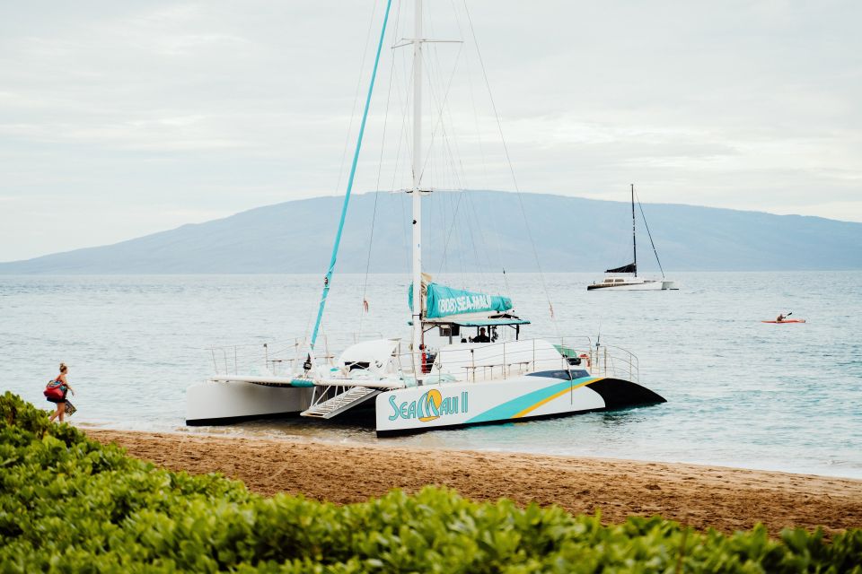 From Kaanapali: Afternoon West Maui Snorkeling & Sea Turtles - Important Details for Your Experience