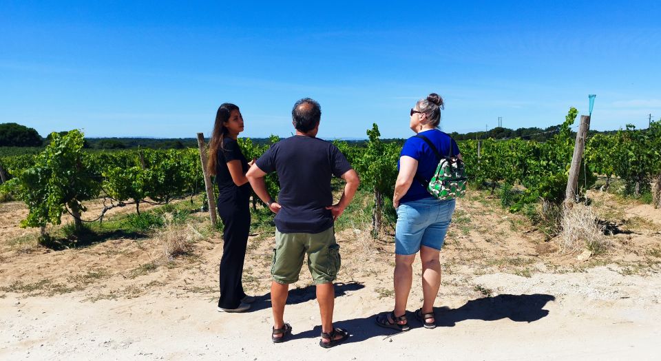 From Lisbon: Setúbal & Arrábida Wine Tour With Lunch - Inclusions