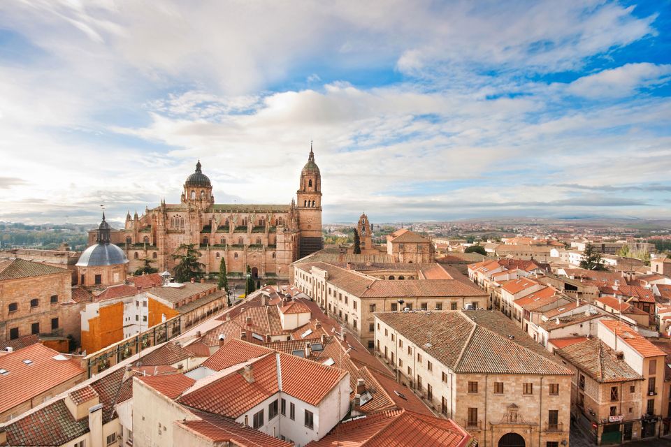 From Madrid: Day Trip to Ávila and Salamanca W/ Guided Tour - Important Information