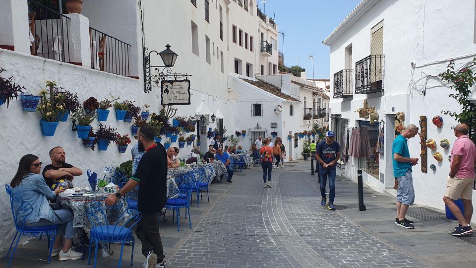 From Malaga: Private Guided Tour of Marbella, Mijas, Banús - Final Words