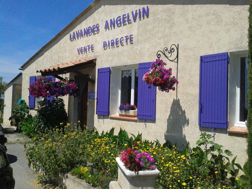 From Marseille: Valensole Lavenders Tour From Cruise Port - Common questions