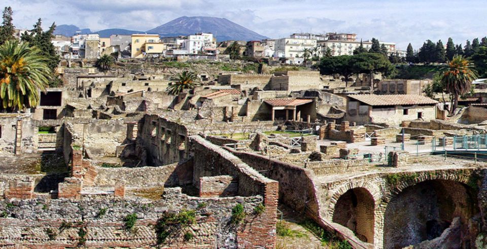 From Naples: Pompeii, Ercolano, and Vesuvius Day Trip - Additional Costs and Options