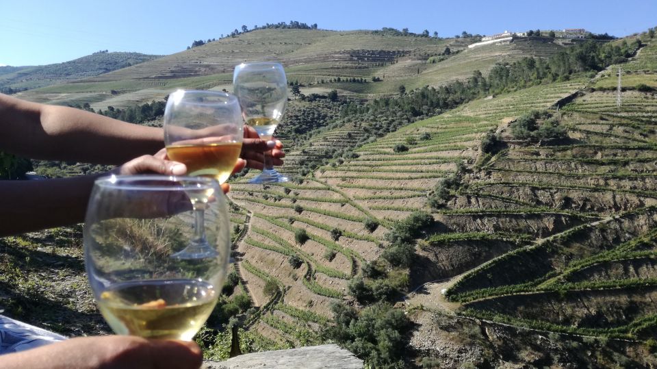 From Porto: Tastings at 2 Wineries, Chefs Lunch & Boat Tour - Common questions