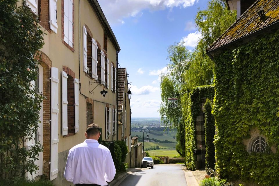 From Reims: Champagne and Family-Run Wineries Tour - Important Information