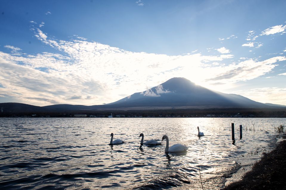 From Tokyo: Private Sightseeing Tour to Mount Fuji & Hakone - Common questions