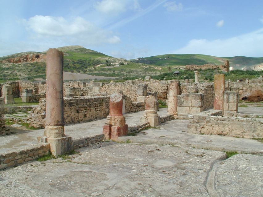From Tunis: Bulla Regia & Dougga Archaeologial Tour & Lunch - Customer Reviews