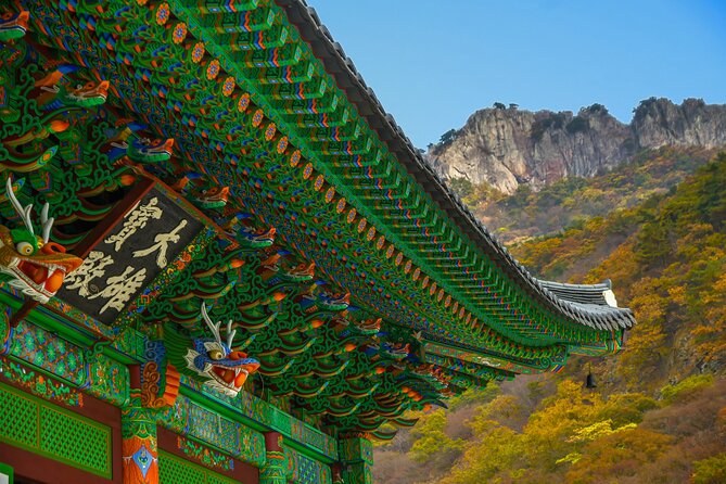 Full-Day Adventure Guided Tour From Busan to Mt Naejang - Preparing for Your Adventure