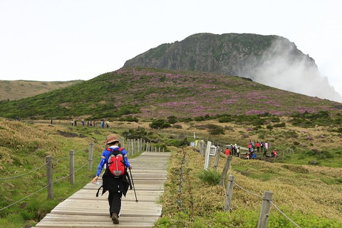 Full-Day Customizable Private Essential Jeju Island Tour for South Course - Reviews and Testimonials