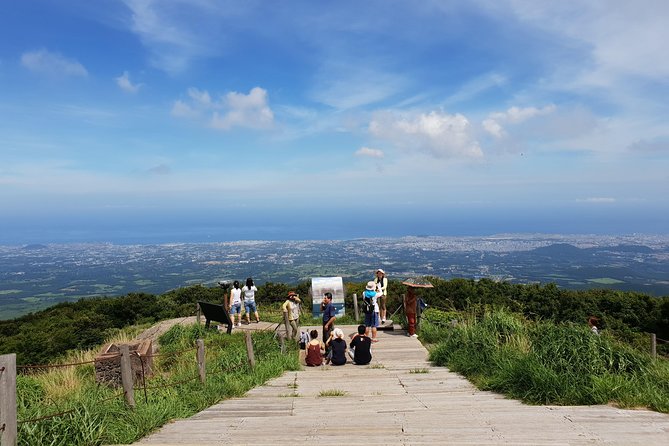 Fully Customizable Private Tour of Jeju Island - Customization and Flexibility