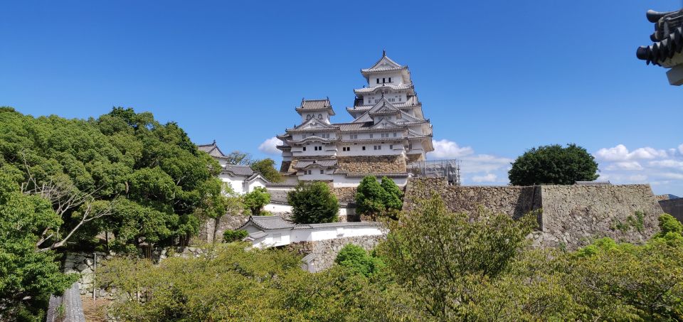 Half-Day Himeji Castle Town Bike Tour With Lunch - Reservation Process and Location