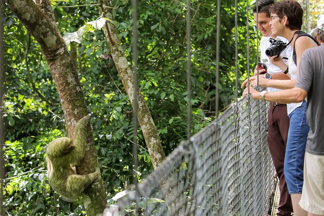 Hanging Bridges Walk in Arenal Volcano - Directions and Location Information