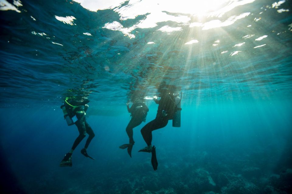 Heraklion: Discover Scuba - Intro for Beginners - Inclusions
