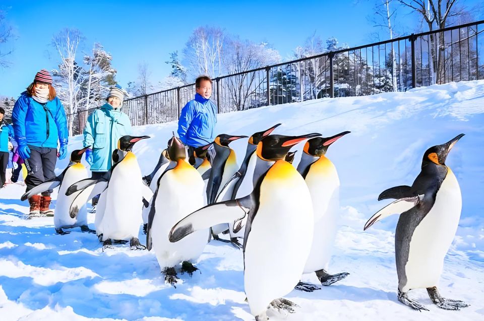 Hokkaido:Asahiyama Zoo, Shirahige Falls & Biei Pond Day Tour - Meeting Point and Logistics