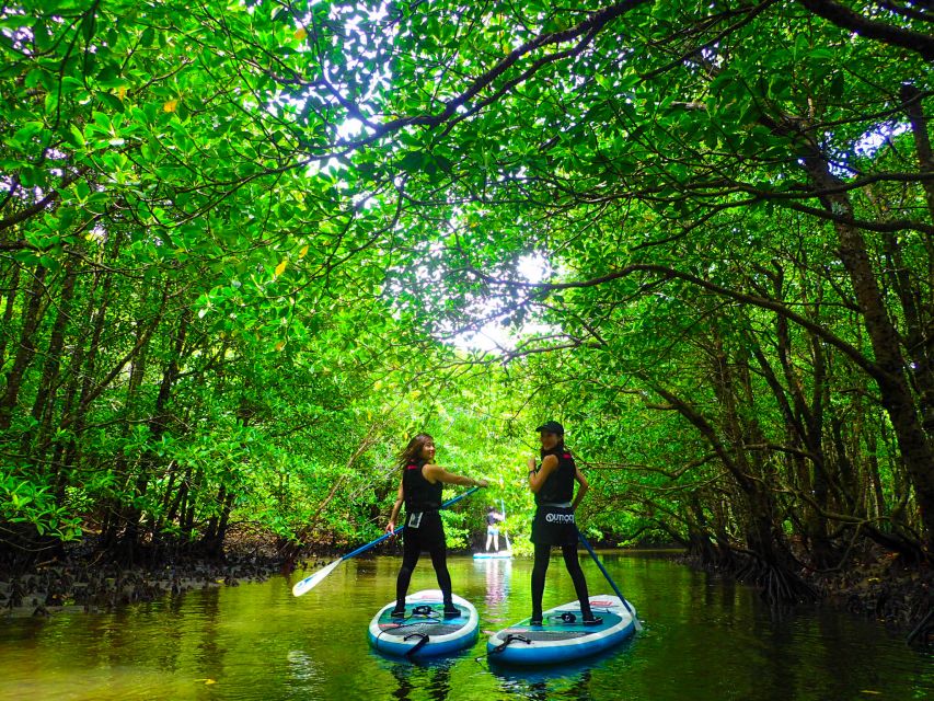 Iriomote Island: Kayaking and Canyoning Tour - Customer Reviews and Location