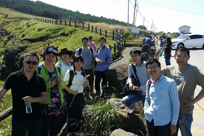 Jeju Island Guided Tour for 9 Hours With a Van - Pricing and Booking Information