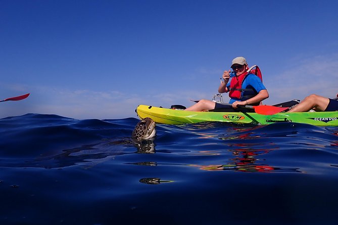 Kayaking With Dolphins and Turtles and Snorkelling in Tenerife - Customer Reviews