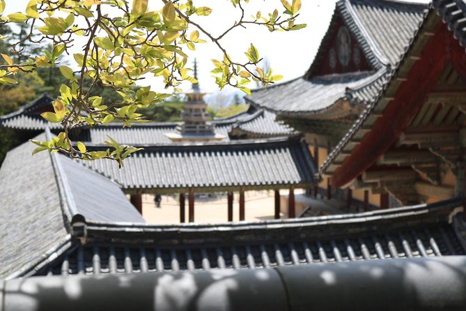 Korean UNESCO World Heritage Tour Including Gyeongju, Andong and Daegu(2n3d) - Tour Logistics and Details