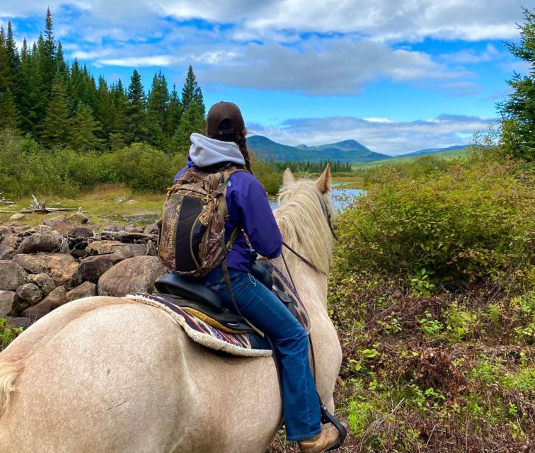 La Vallée: a Charming Introduction to Horseback Riding - Final Words