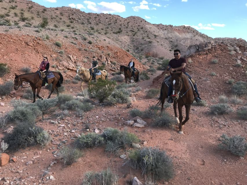 Las Vegas: Horseback Riding With Breakfast - Price