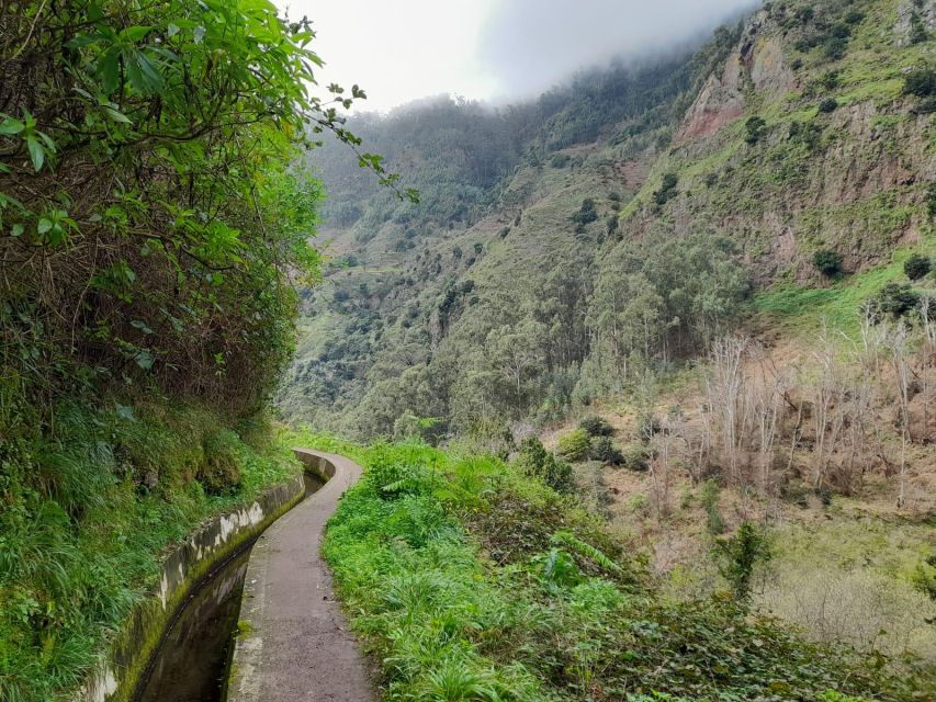 Levada Nova - Levado Do Moinho by Overland Madeira - Tour Highlights