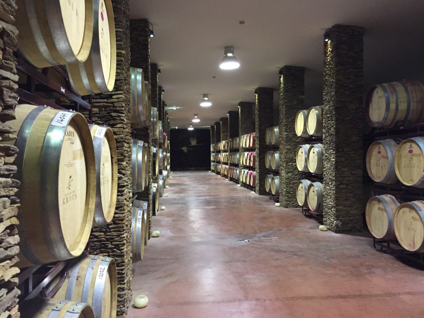 Lisbon: Private Evora Tour With Wine Tasting - Important Information