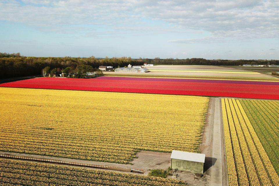 Lisse: Self-guided Tulip Fields GPS Audio Tour - Additional Information