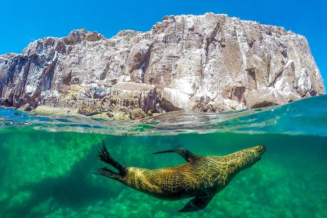 Los Cabos Sea of Cortez Sightseeing Cruise and Snorkeling Tour  - Cabo San Lucas - Route Details