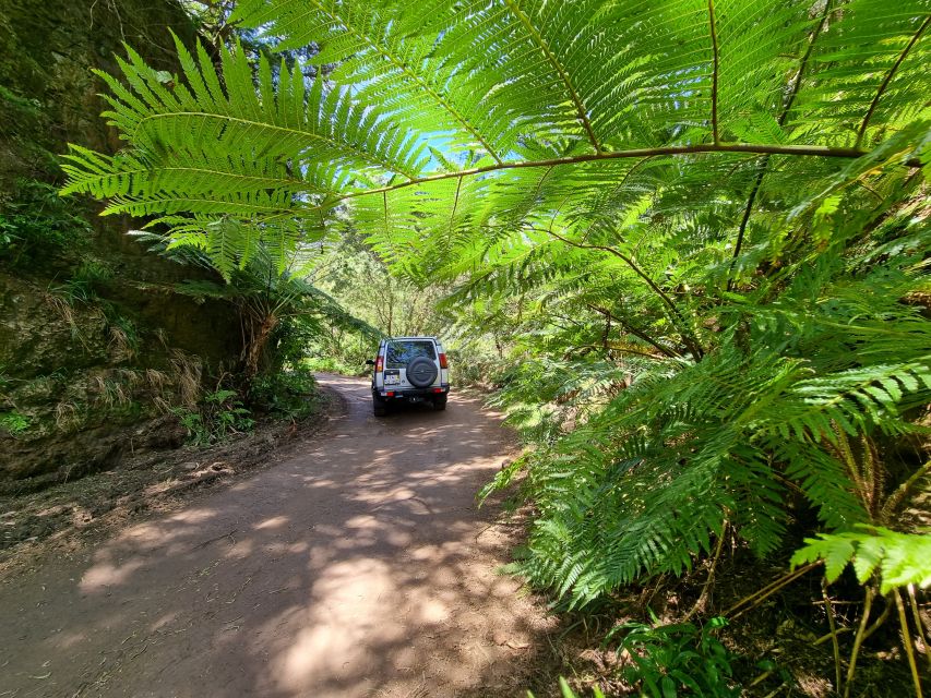 Madeira: Picturesque Peaks and Skywalk Private 4x4 Jeep Tour - Cancellation Policy