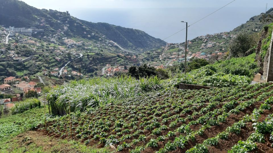 Madeira: Private Guided Levada Do Norte Walk - Inclusions