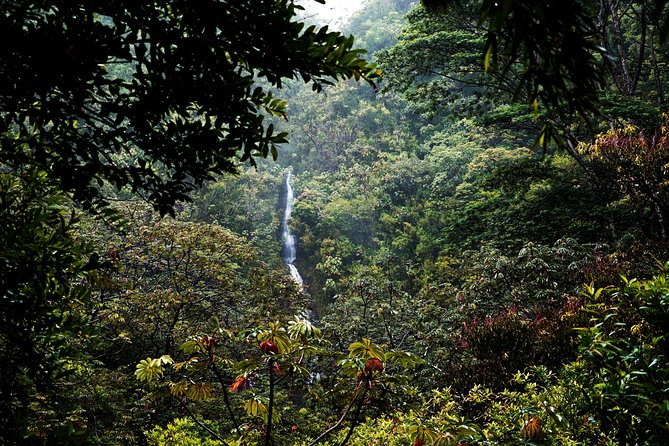 Manoa Waterfall Hike With Healthy Lunch Included From Waikiki - Directions and Important Notes