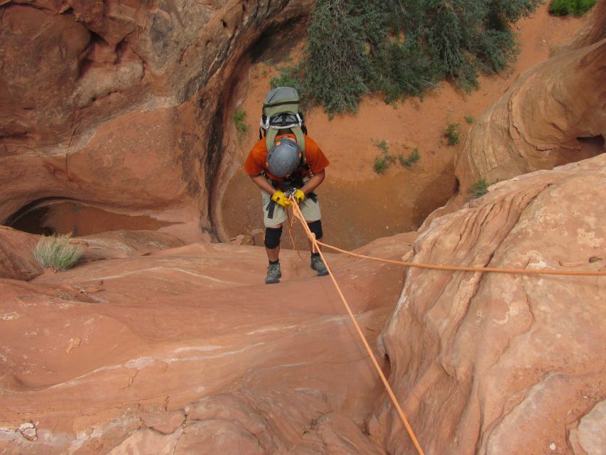 Moab: Morning or Afternoon Half-Day Rappelling Tour - Final Words