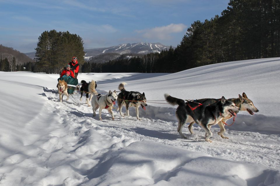 Mont-Tremblant: Dogsledding Experience - Cost & Duration