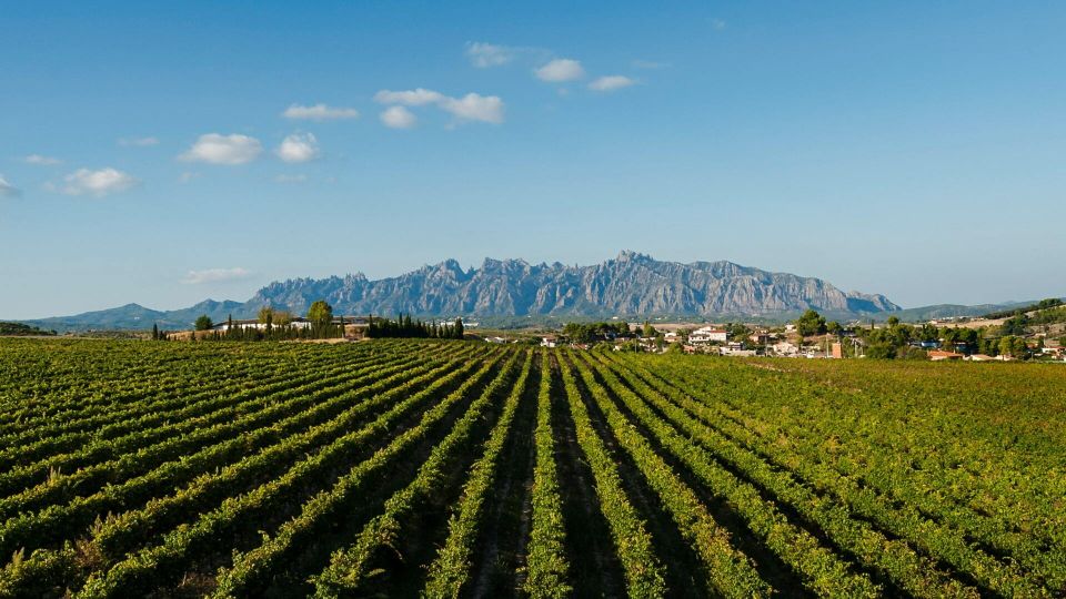 Montserrat & Cava Wineries Day Trip From Barcelona W/ Pickup - Inclusions in the Tour Package