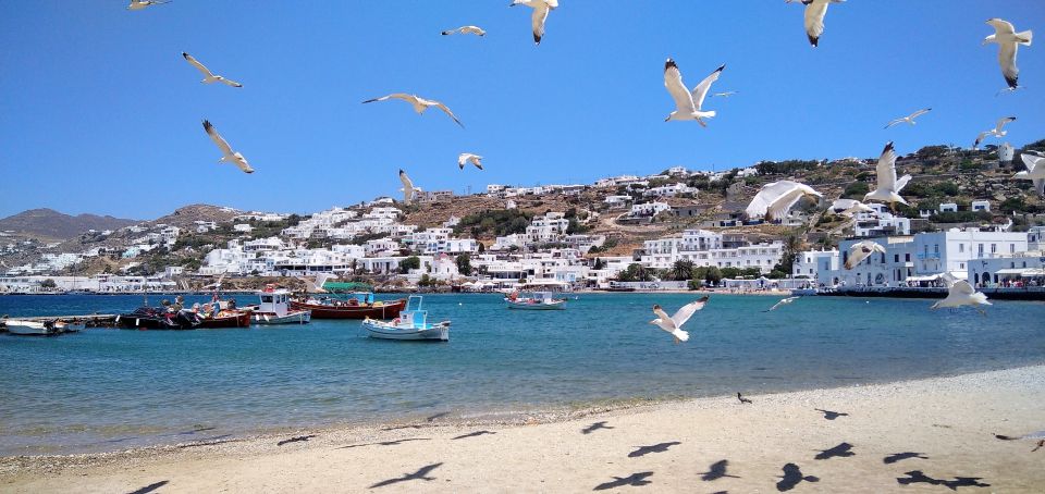 Mykonos: Highlights Tour With Panagia Tourliani Monastery - Important Information and Additional Feedback