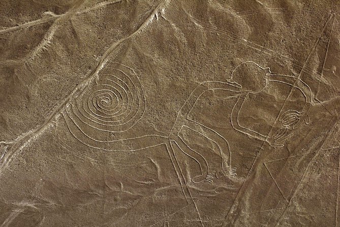 Nazca Lines & Ballestas Islands Private Tour From Lima - Booking Information